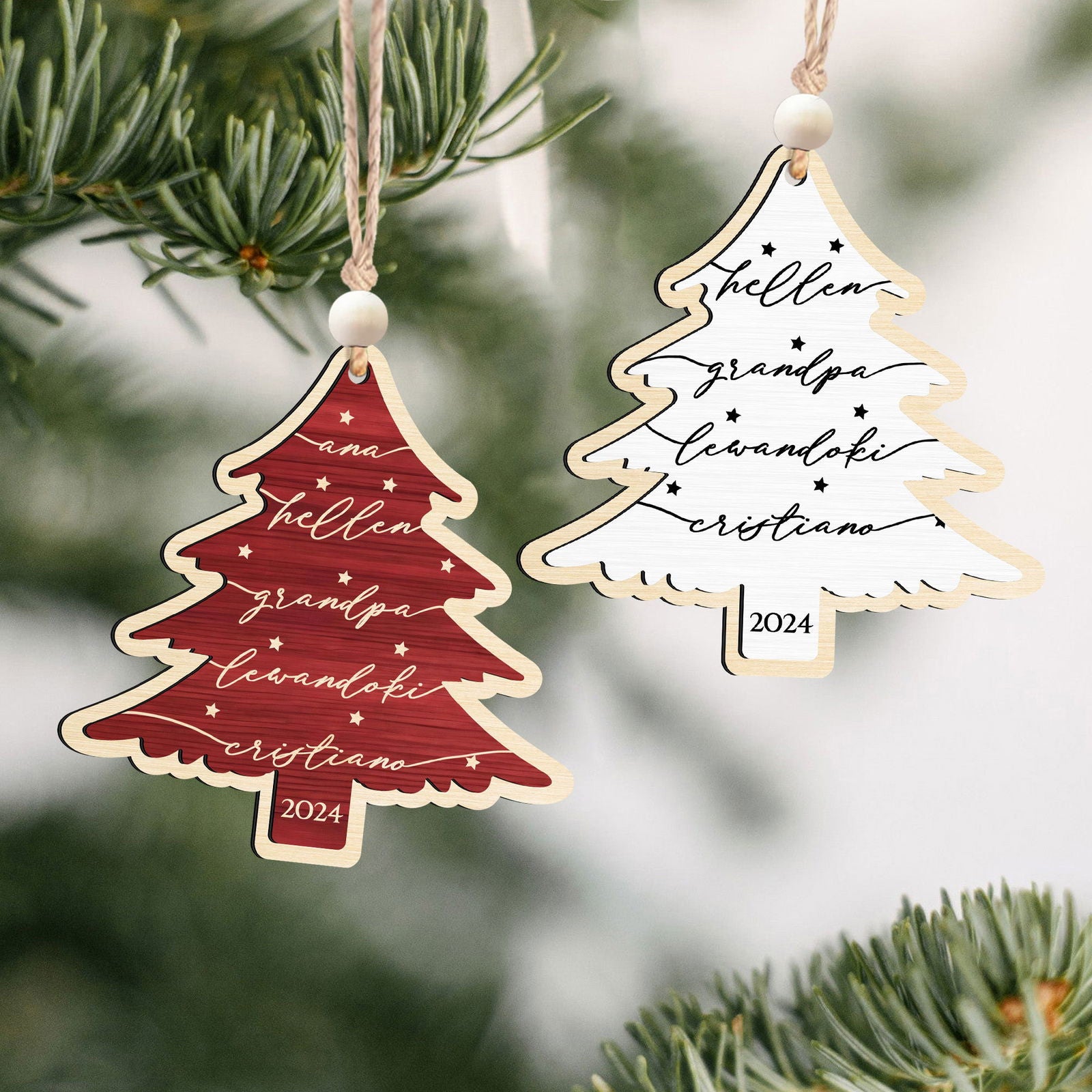 Custom 3D Christmas Tree Ornament, Family Names Ornament, Christmas Gift Tag CF168 - Kindlytoys
